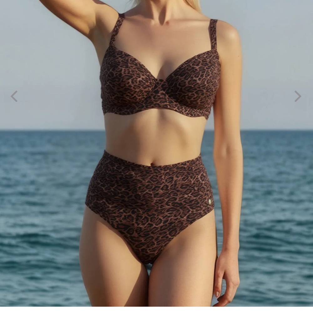 Leopard Print High-Waisted Bikini Set
